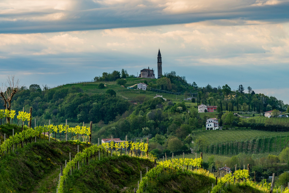 Landscape of Conegliano Valdobbiadene: photo credit Arcangelo Piai Conegliano Valdobbiadene